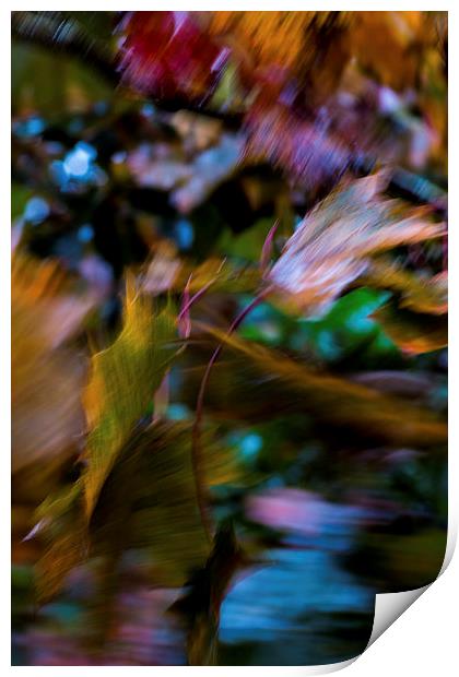 Autumn Abstract Print by Phil Wareham