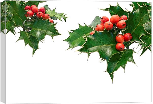 Holly Canvas Print by Victor Burnside