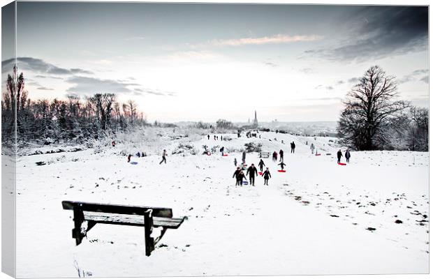 A Perfect Winter Scene Canvas Print by Paul Macro