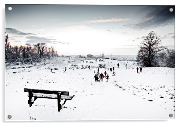 A Perfect Winter Scene Acrylic by Paul Macro