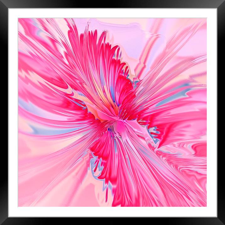 Carnation Pink Framed Mounted Print by Anastasiya Malakhova