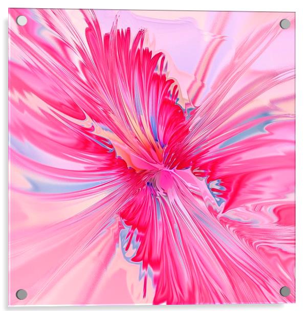 Carnation Pink Acrylic by Anastasiya Malakhova