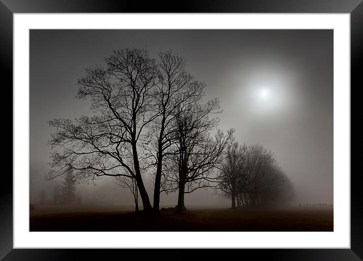 Hazy noon in a park Framed Mounted Print by Robert Parma