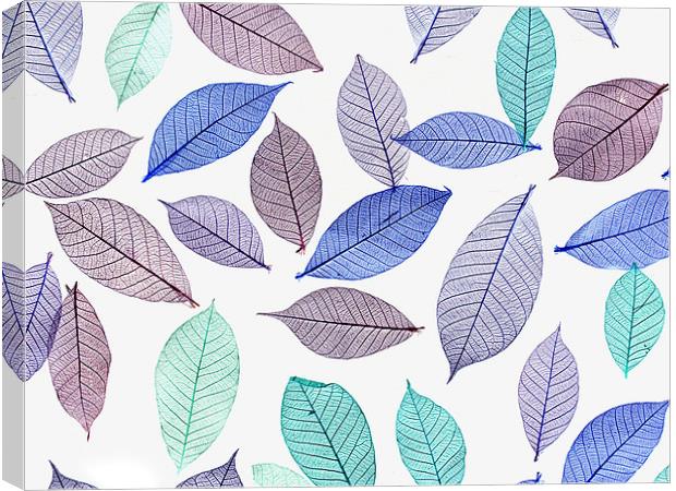 Leaves Canvas Print by Victor Burnside