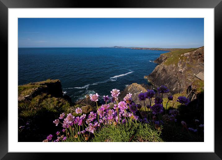 Coast at Porthgain Framed Mounted Print by Thomas Schaeffer