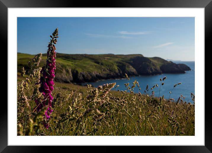 Sunset at Strumble Head Lighthouse Framed Mounted Print by Thomas Schaeffer