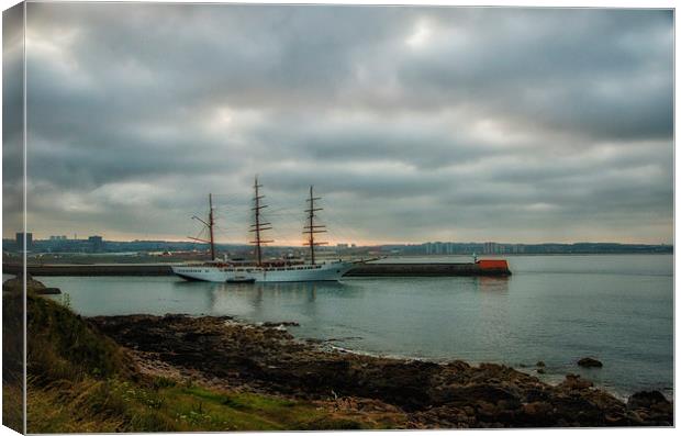 Seacloud 2 Canvas Print by Vicky Mitchell