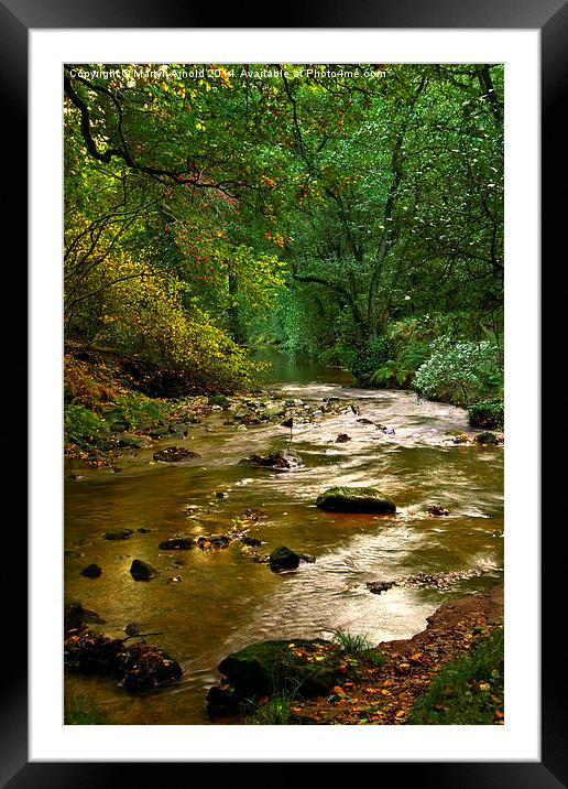 Woodland Stream in Autumn Framed Mounted Print by Martyn Arnold