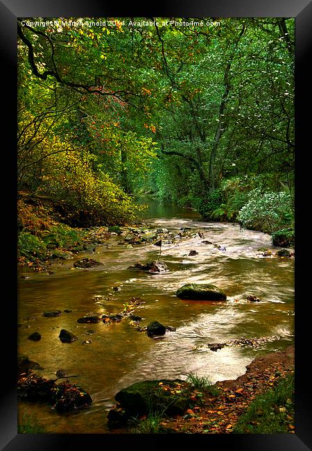 Woodland Stream in Autumn Framed Print by Martyn Arnold
