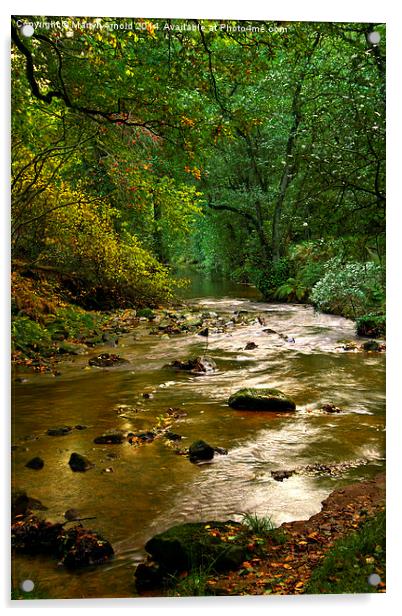 Woodland Stream in Autumn Acrylic by Martyn Arnold