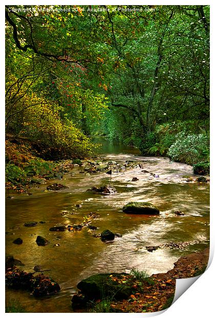Woodland Stream in Autumn Print by Martyn Arnold