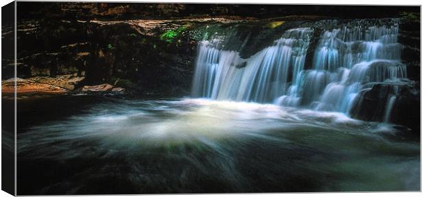 Waterfall county South Wales Canvas Print by Leighton Collins