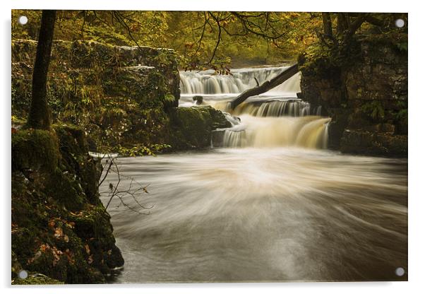 Horseshoe falls, Nedd Fechan river Acrylic by Izzy Standbridge