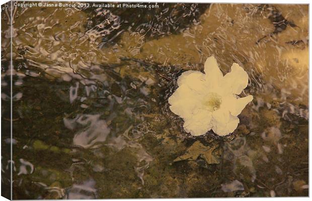 Floating Downstream Canvas Print by Jasna Buncic
