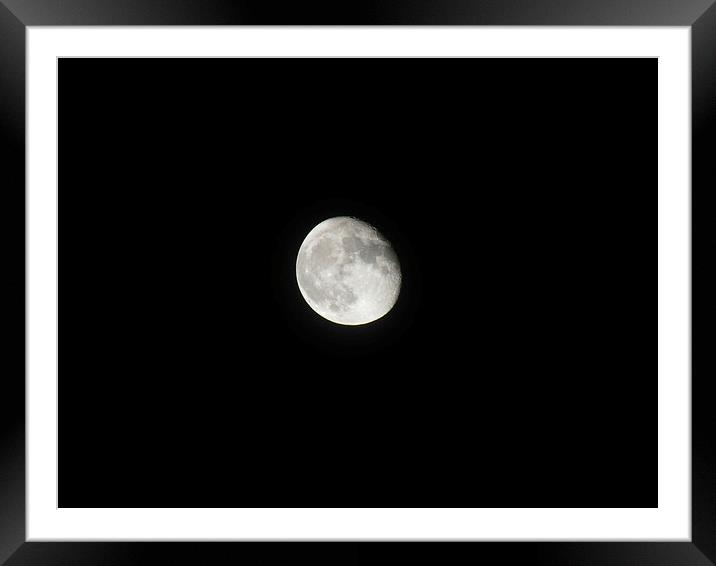 Bright Night Framed Mounted Print by Jez Mouncer
