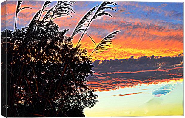 Autumn Sunset Canvas Print by Pamela Briggs-Luther