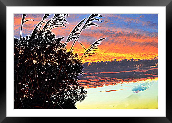 Autumn Sunset Framed Mounted Print by Pamela Briggs-Luther