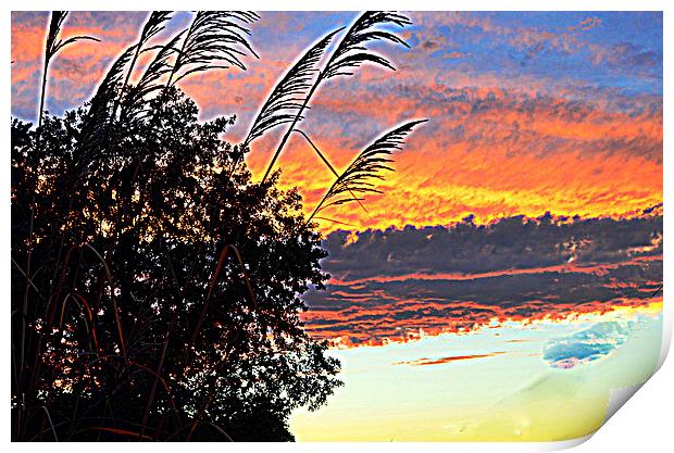 Autumn Sunset Print by Pamela Briggs-Luther