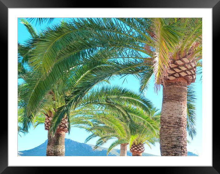 Tropical Palms Framed Mounted Print by Louise Godwin