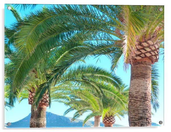 Tropical Palms Acrylic by Louise Godwin