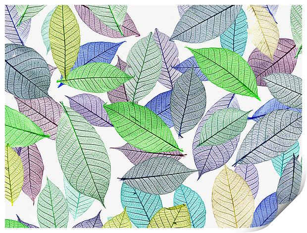 Leaves Print by Victor Burnside