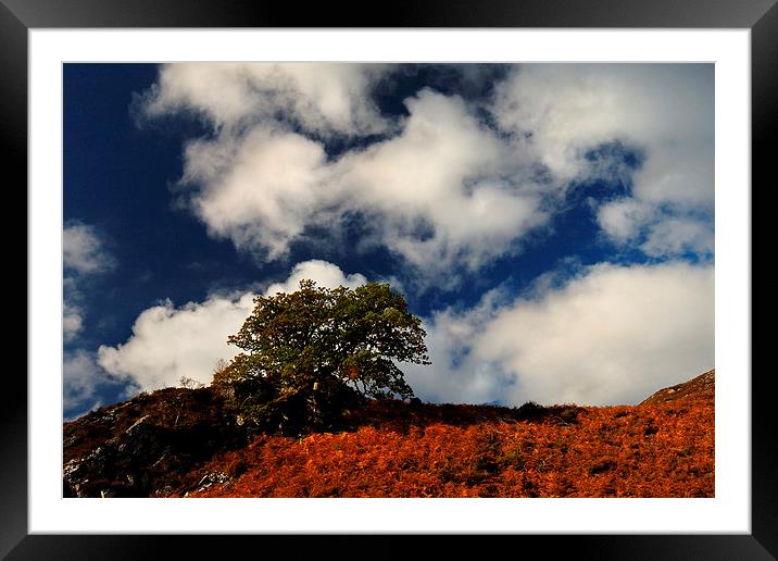 Autumn skyline Framed Mounted Print by Macrae Images