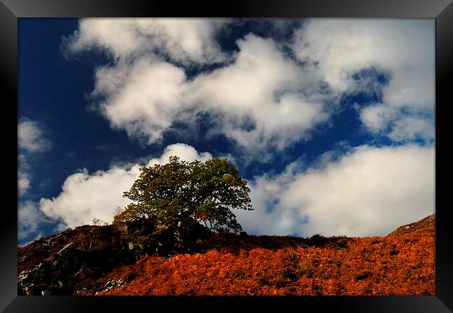 Autumn skyline Framed Print by Macrae Images