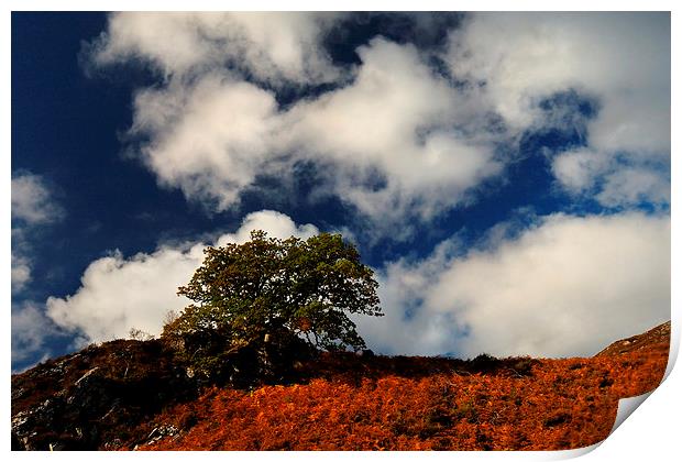 Autumn skyline Print by Macrae Images
