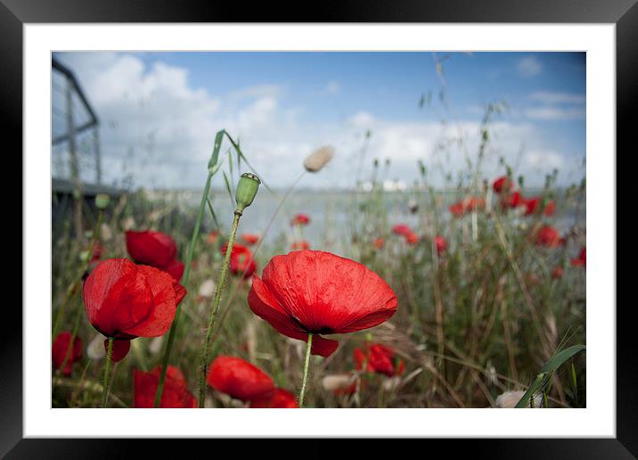 We will remember them Framed Mounted Print by Ian Jones
