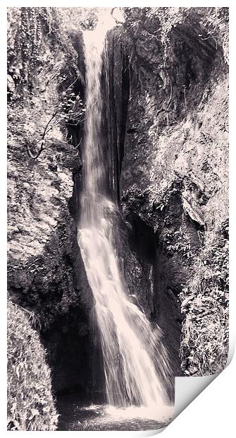 waterfall collection 2 Print by Emma Ward