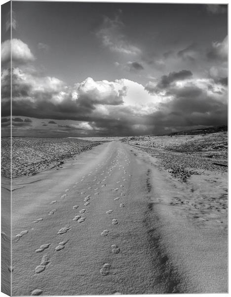 Footsteps ! Canvas Print by Peter Mclardy