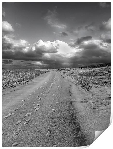 Footsteps ! Print by Peter Mclardy