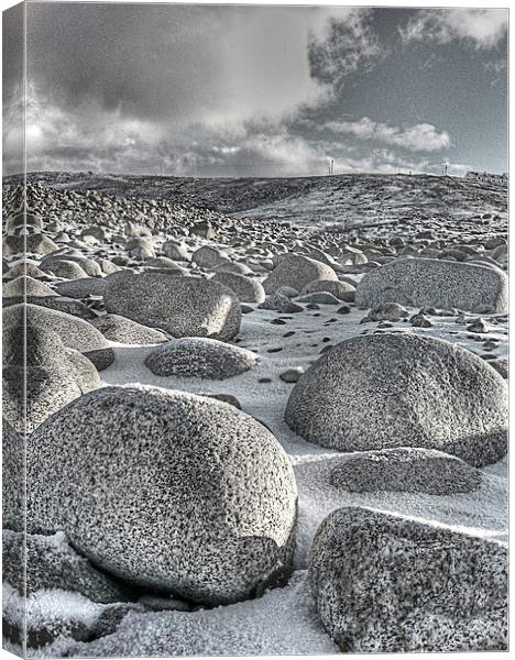 Boulders in the snow ! Canvas Print by Peter Mclardy