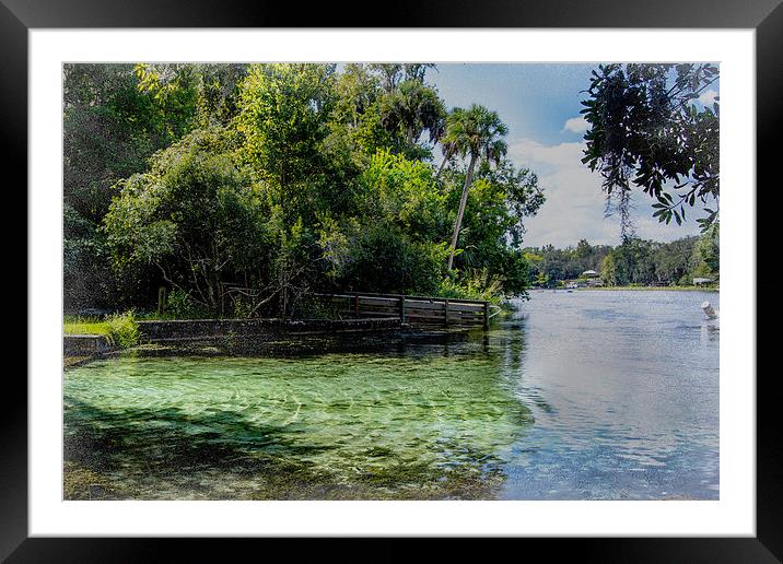 Cool Clear Water Framed Mounted Print by Judy Hall-Folde