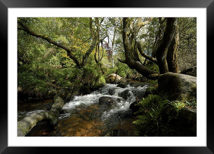 JST2621 The West Dart Framed Mounted Print by Jim Tampin