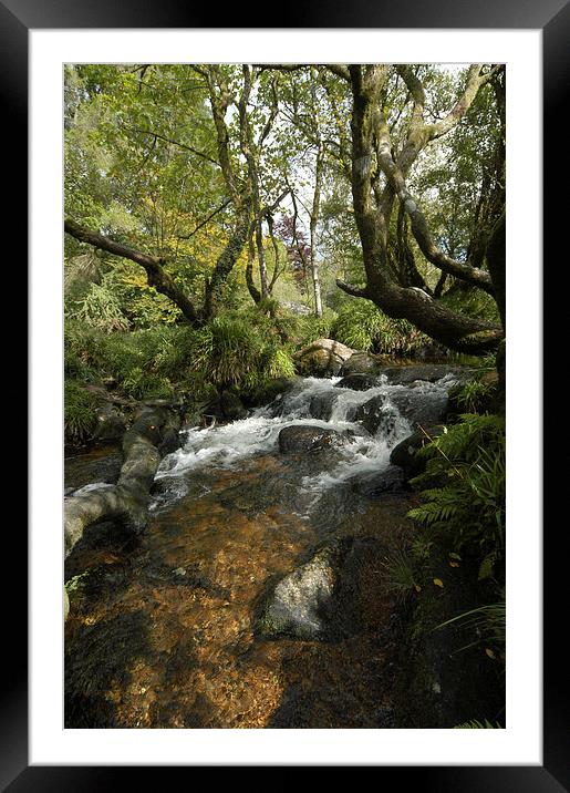 JST2622 The West Dart Framed Mounted Print by Jim Tampin