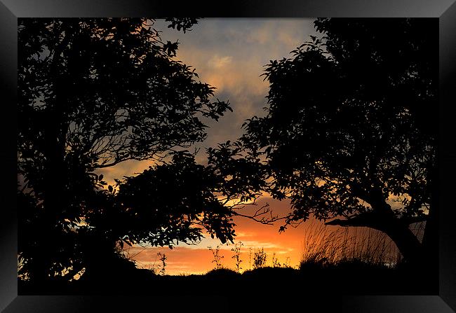 Sunset Framed Print by barbara walsh