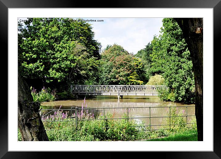 One of the many bridges to be seen in Birkenhead P Framed Mounted Print by Frank Irwin