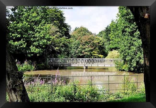 One of the many bridges to be seen in Birkenhead P Framed Print by Frank Irwin