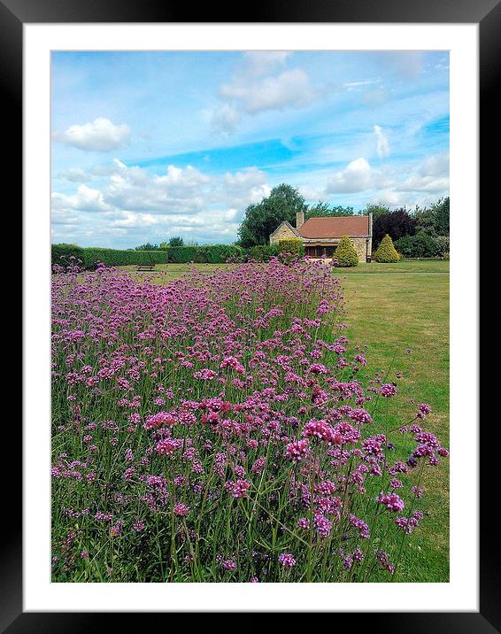 Lesnes Abbey. Pink Flowers Framed Mounted Print by Robert Cane