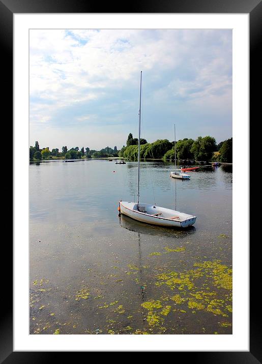 Danson Park, Boating Lake Framed Mounted Print by Robert Cane
