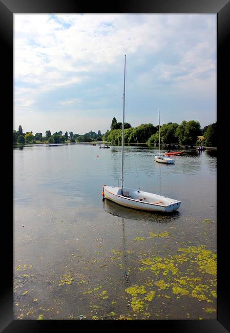 Danson Park, Boating Lake Framed Print by Robert Cane