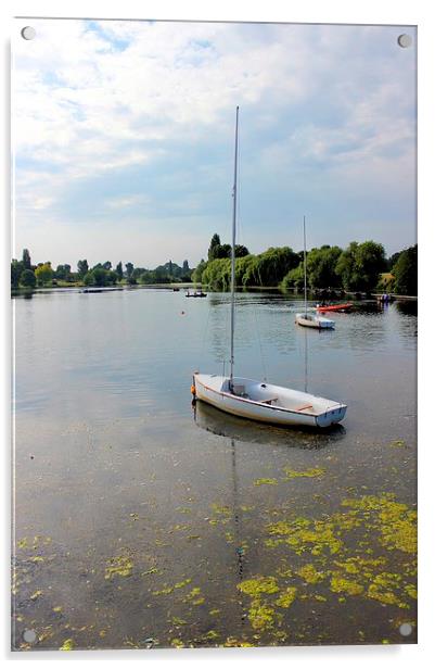Danson Park, Boating Lake Acrylic by Robert Cane