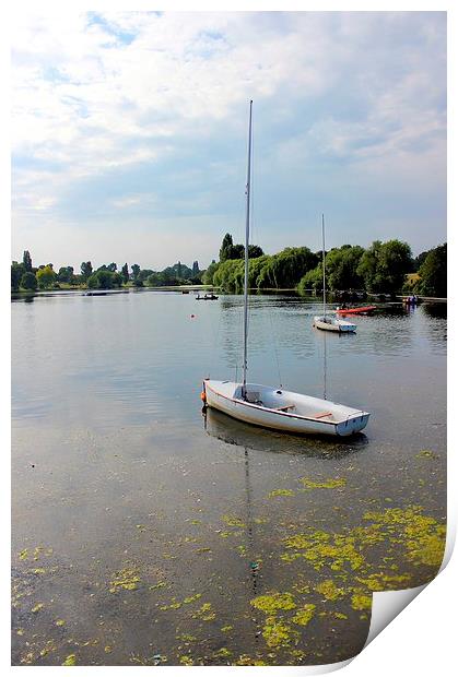 Danson Park, Boating Lake Print by Robert Cane