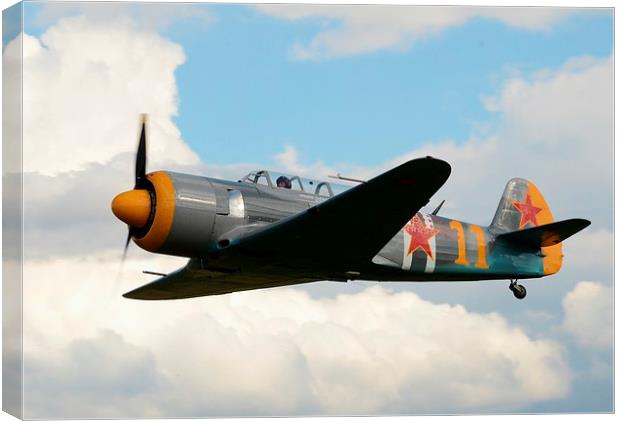 Yak 11 Canvas Print by Malcolm Snook