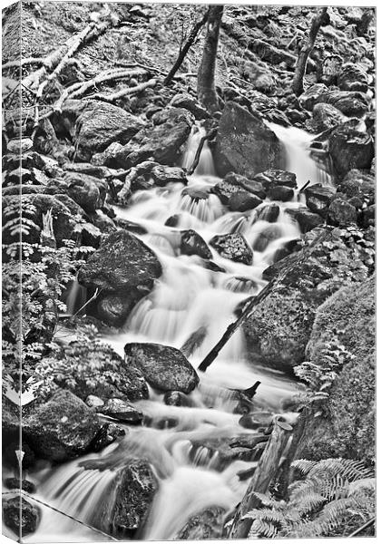 Cadair Idris Waterfall Black And White Canvas Print by Paul Madden