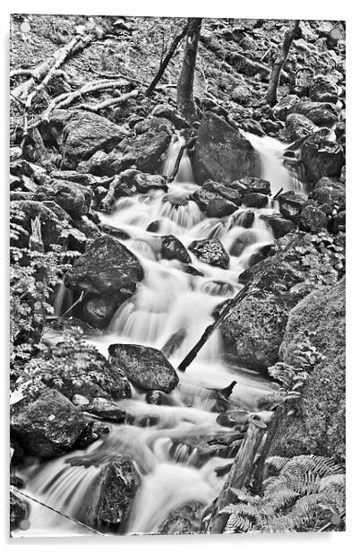 Cadair Idris Waterfall Black And White Acrylic by Paul Madden