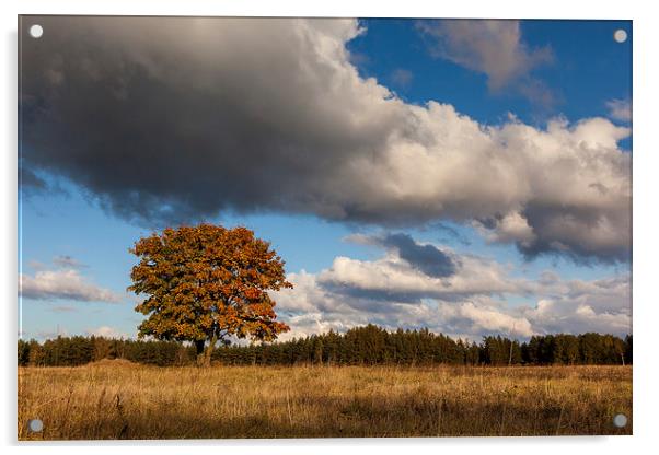 Autumn Acrylic by Robert Parma