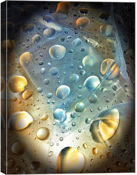 Water Drops Canvas Print by Iain Mavin