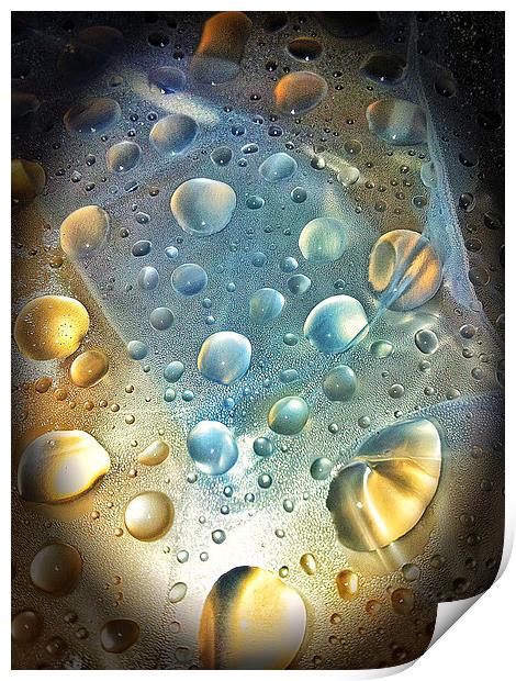 Water Drops Print by Iain Mavin